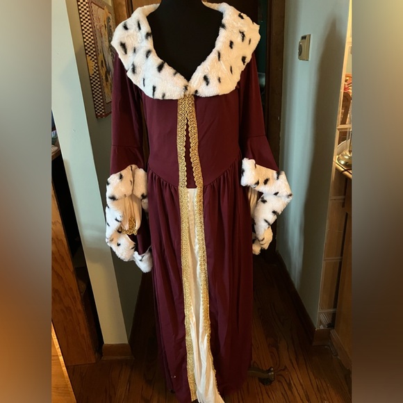 Adult Costume Cosplay Princess, Queen, Cruella de Vil, Big Bad Wolf, Cinderella - Picture 2 of 9